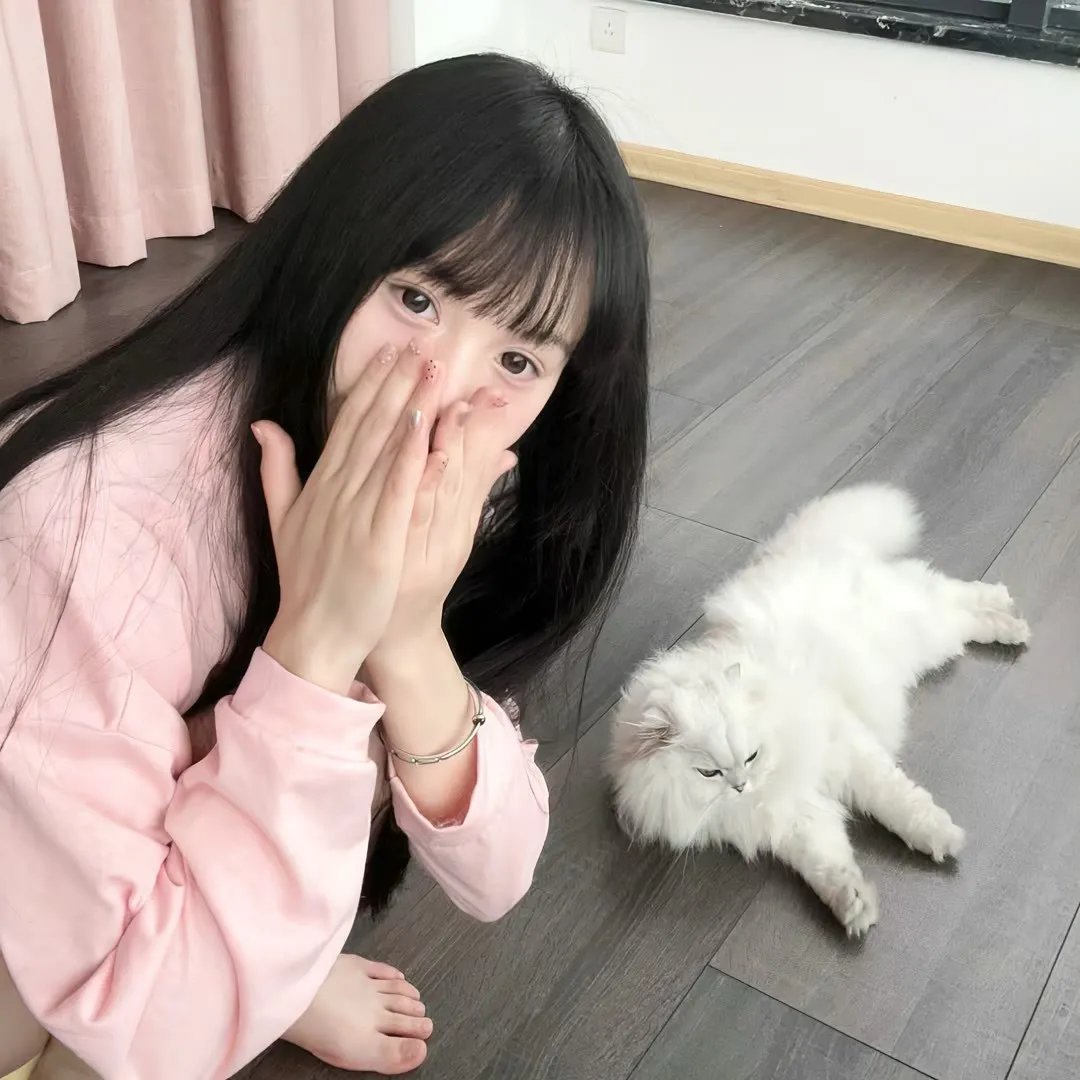 巧盗美人心